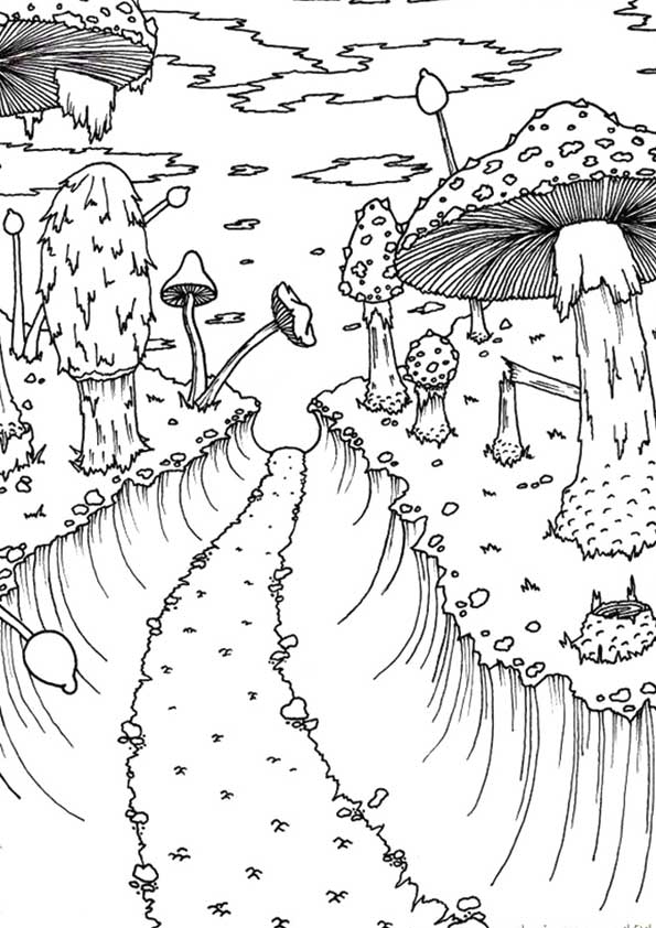 Free Printable Mushroom Coloring Pages coloring page