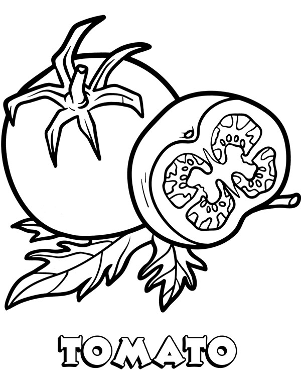 Tomato Drawn Labeled Clipartmag Sketch Coloring Page Tomato Drawn Labeled Clipartmag Sketch Coloring Page
