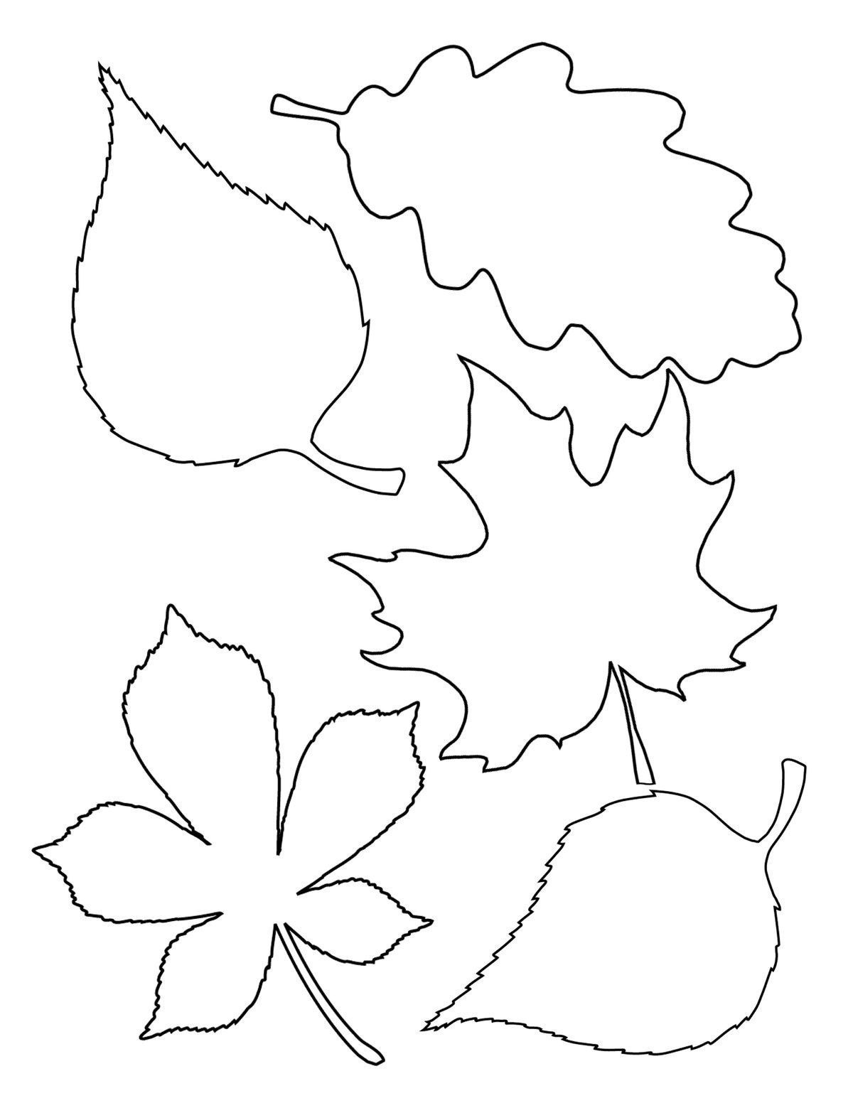 Coloring Pages | Autumn Leaves Coloring Pages Fantastic Photo Ideas