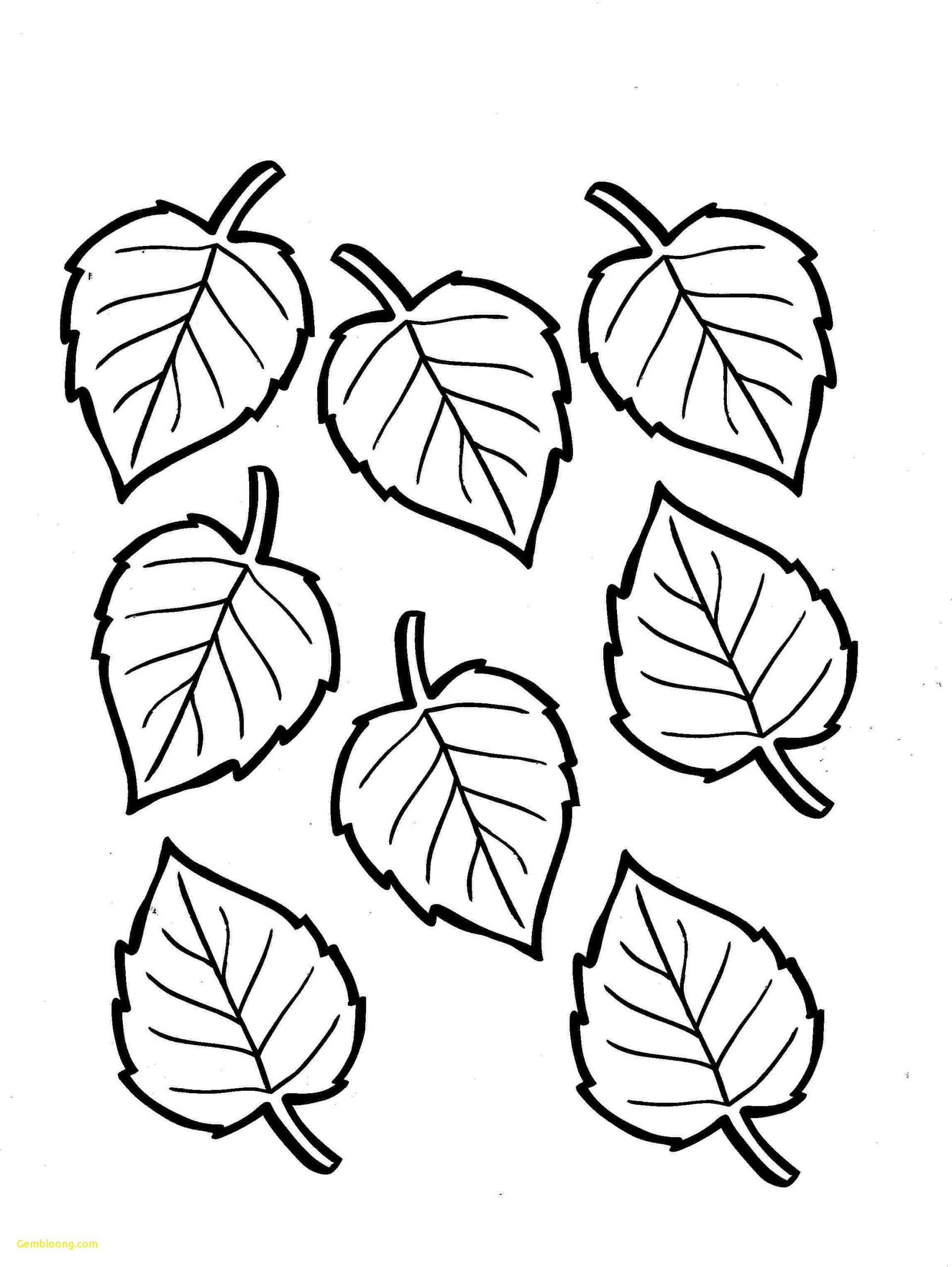 coloring-pages-preschool-fall-leaves-coloring-pages