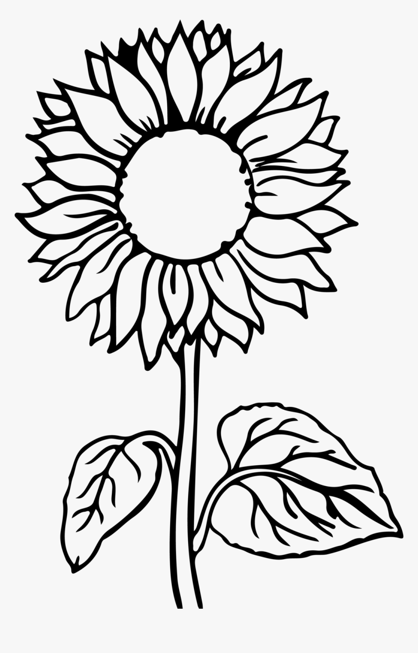 sunflower-printable-coloring-pages-printable-blank-world