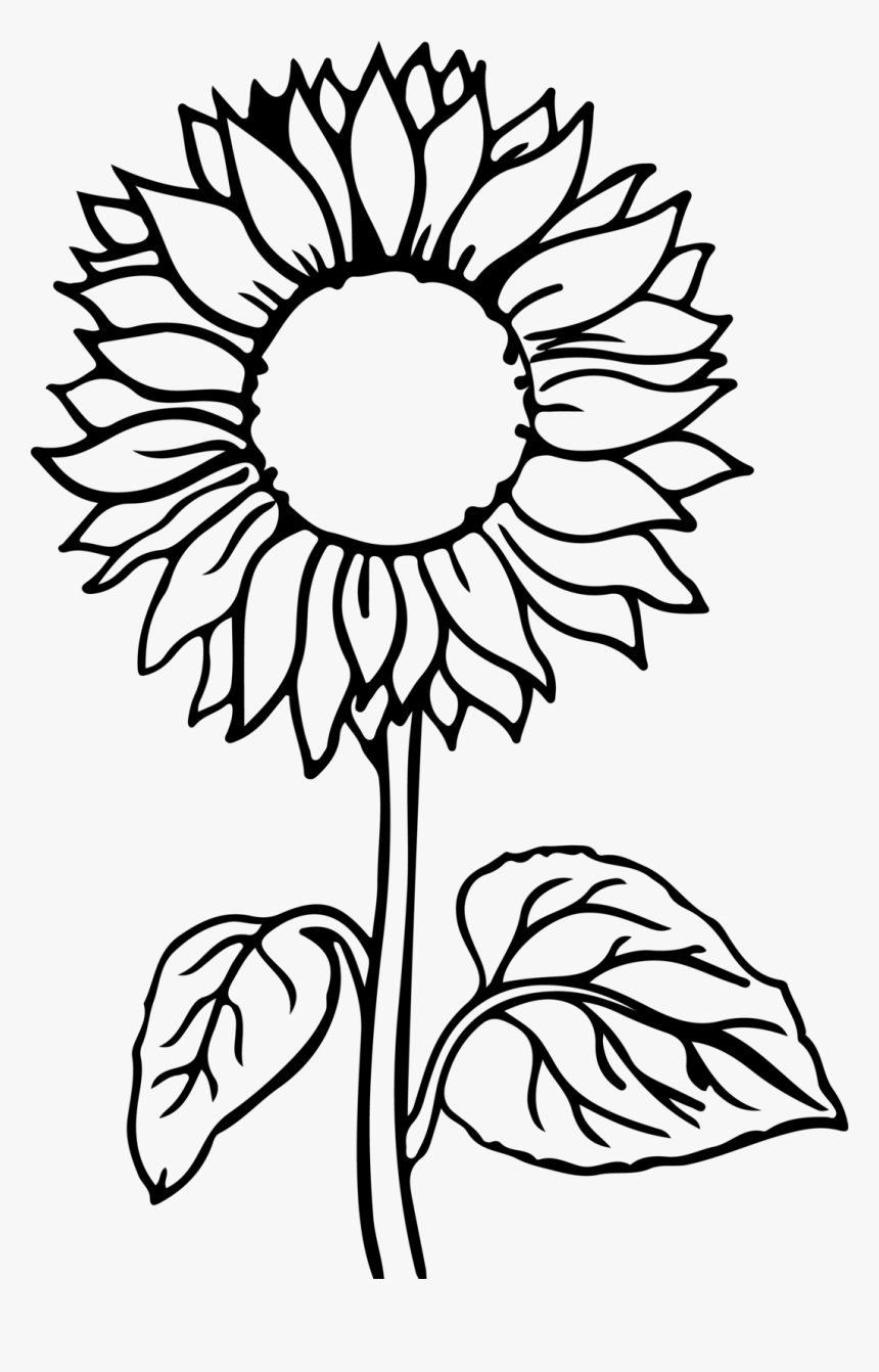 free-printable-sunflower-coloring-pages-for-kids