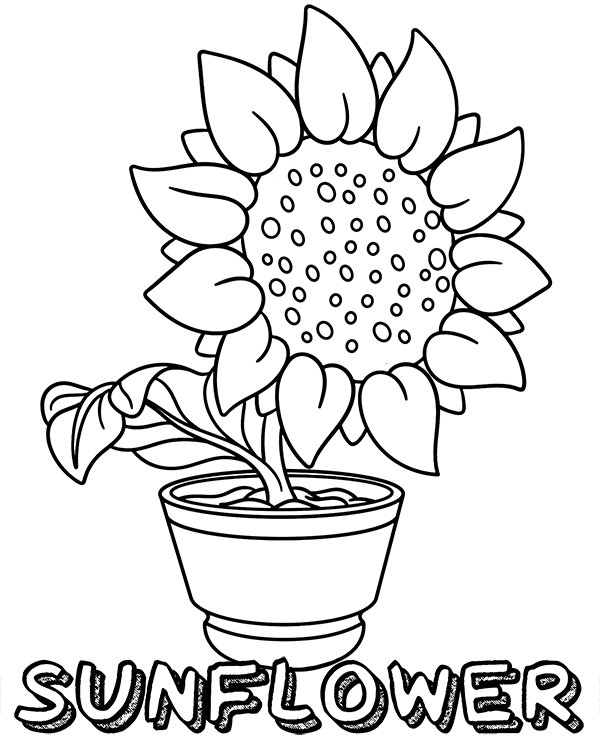 Sunflower In Pot Flower Coloring Page coloring page