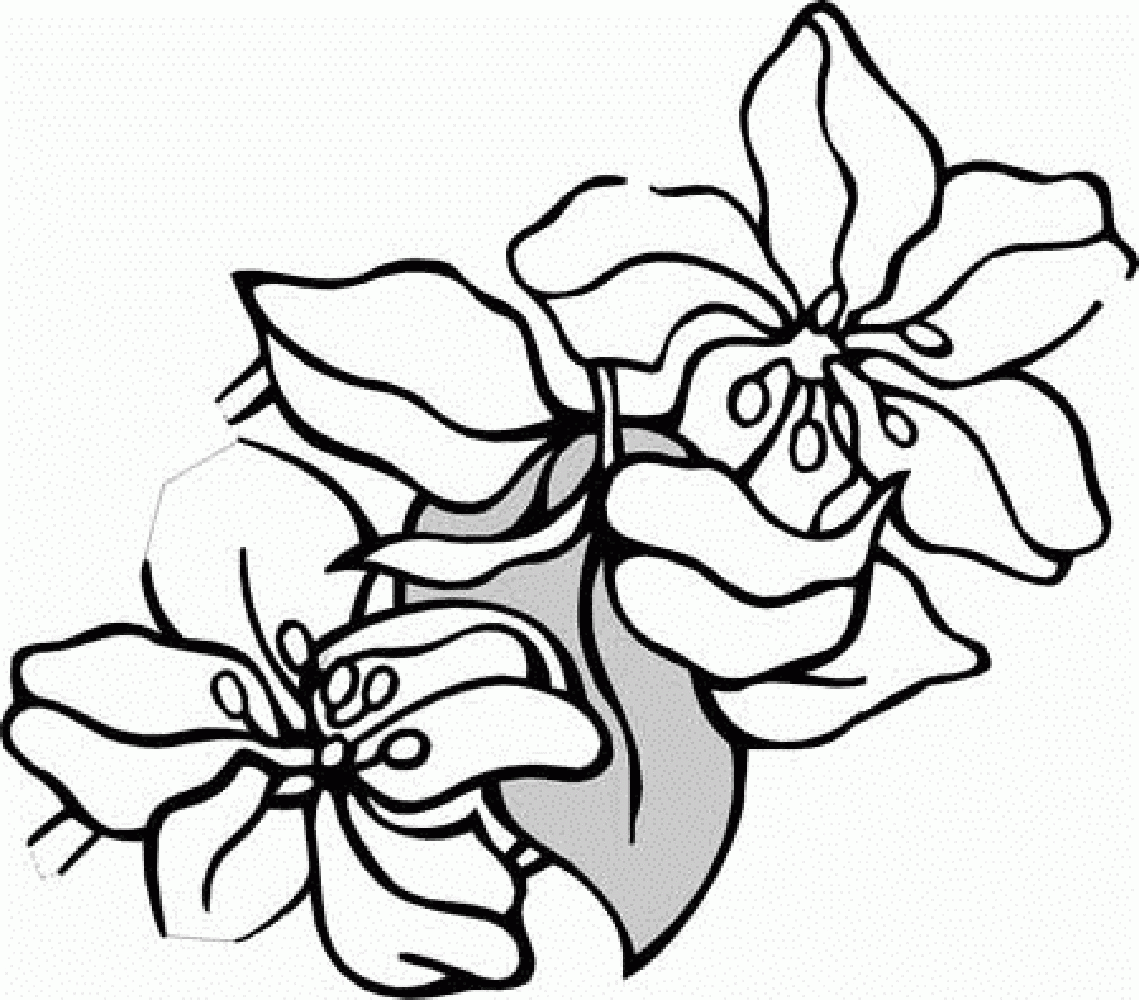 coloring-pages-jasmine-color-pages-for-adults