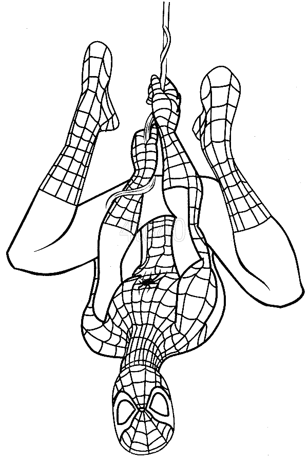 Easy free Spiderman coloring page to download, From the gallery