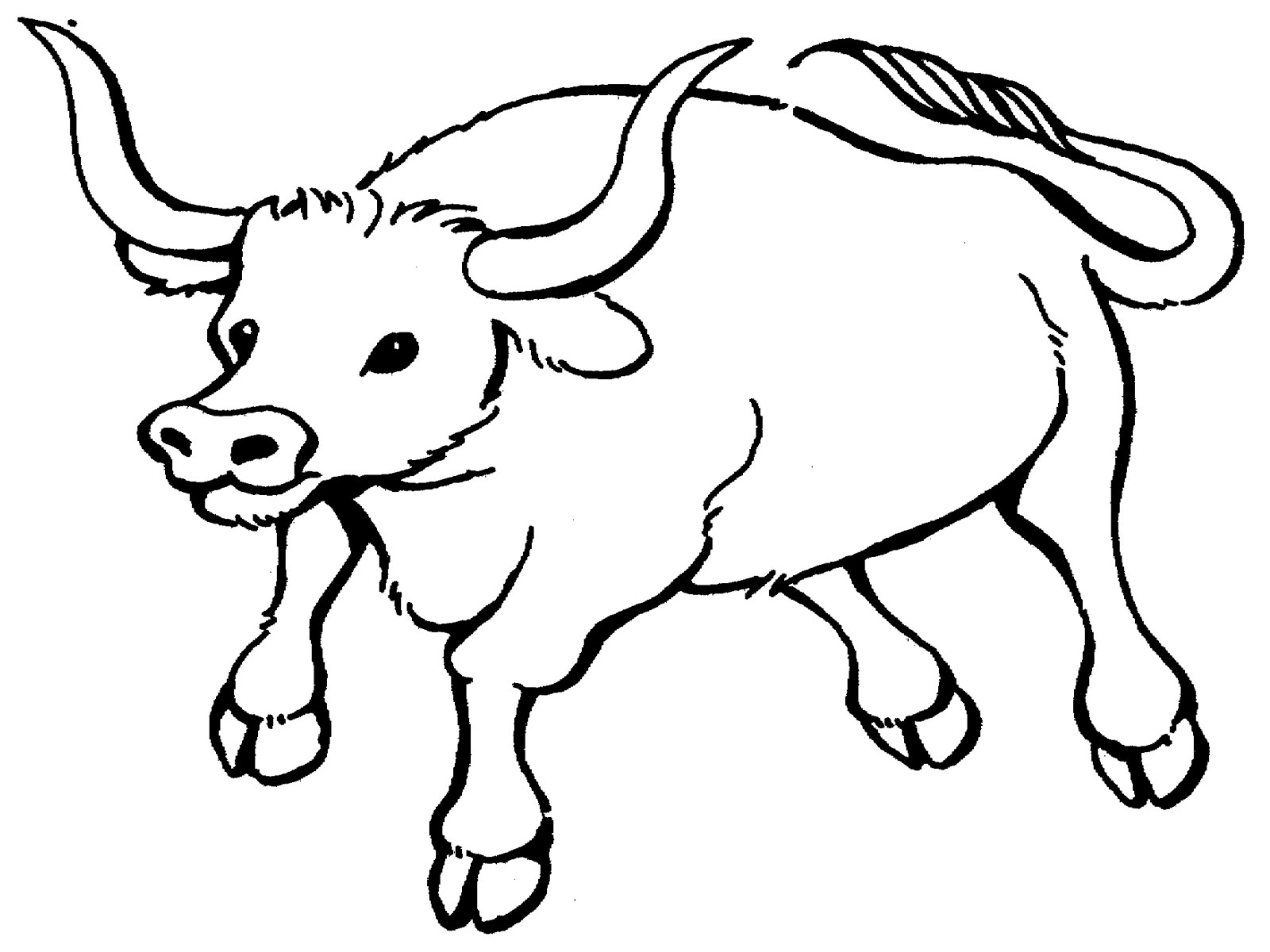 coloring-pages-bull-coloring-pages-printable-realistic-coloring-pages