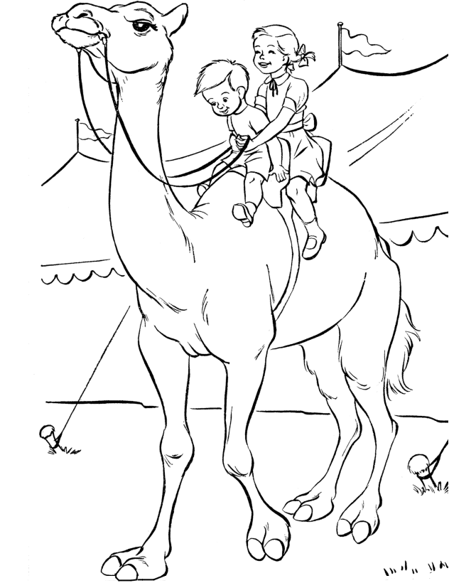 coloring-pages-free-camel-coloring-sheets