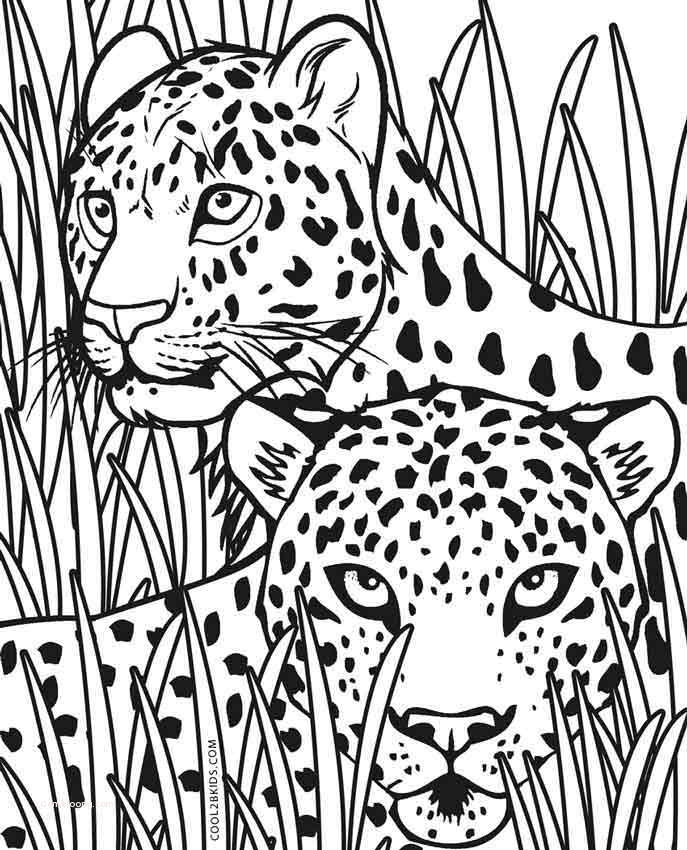 Coloring Pages Free Printable Coloring Pages Of Cheetah