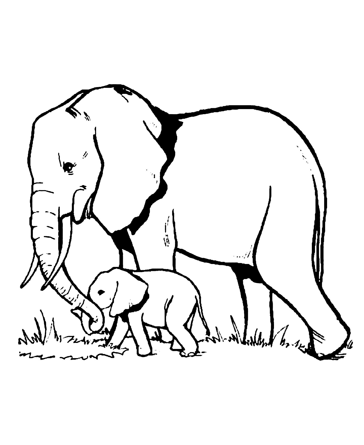 Best Coloring Pages For Children Elephants coloring page