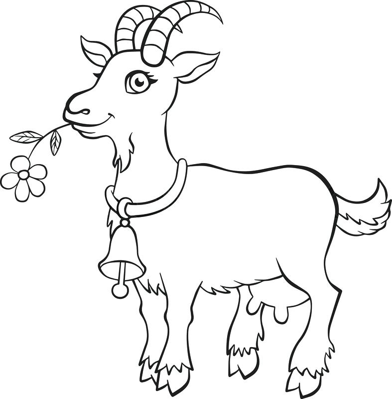 Coloring Pages | Ba Goat Coloring Pages