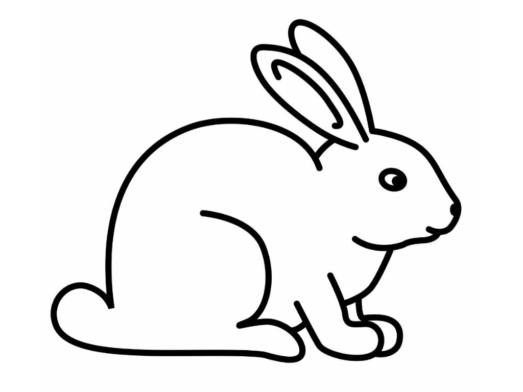 Rabbit Coloring Pages coloring page