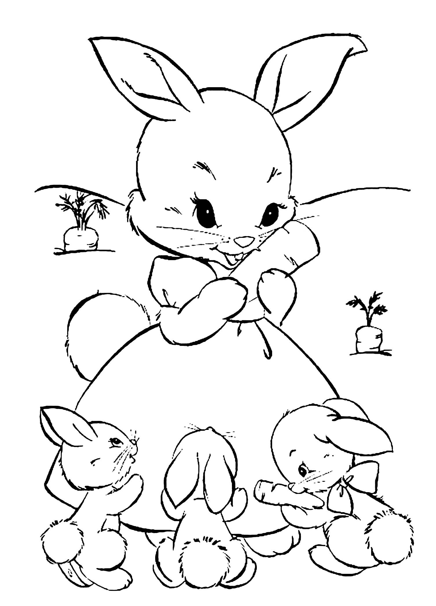 Free Bunny Coloring Pages coloring page