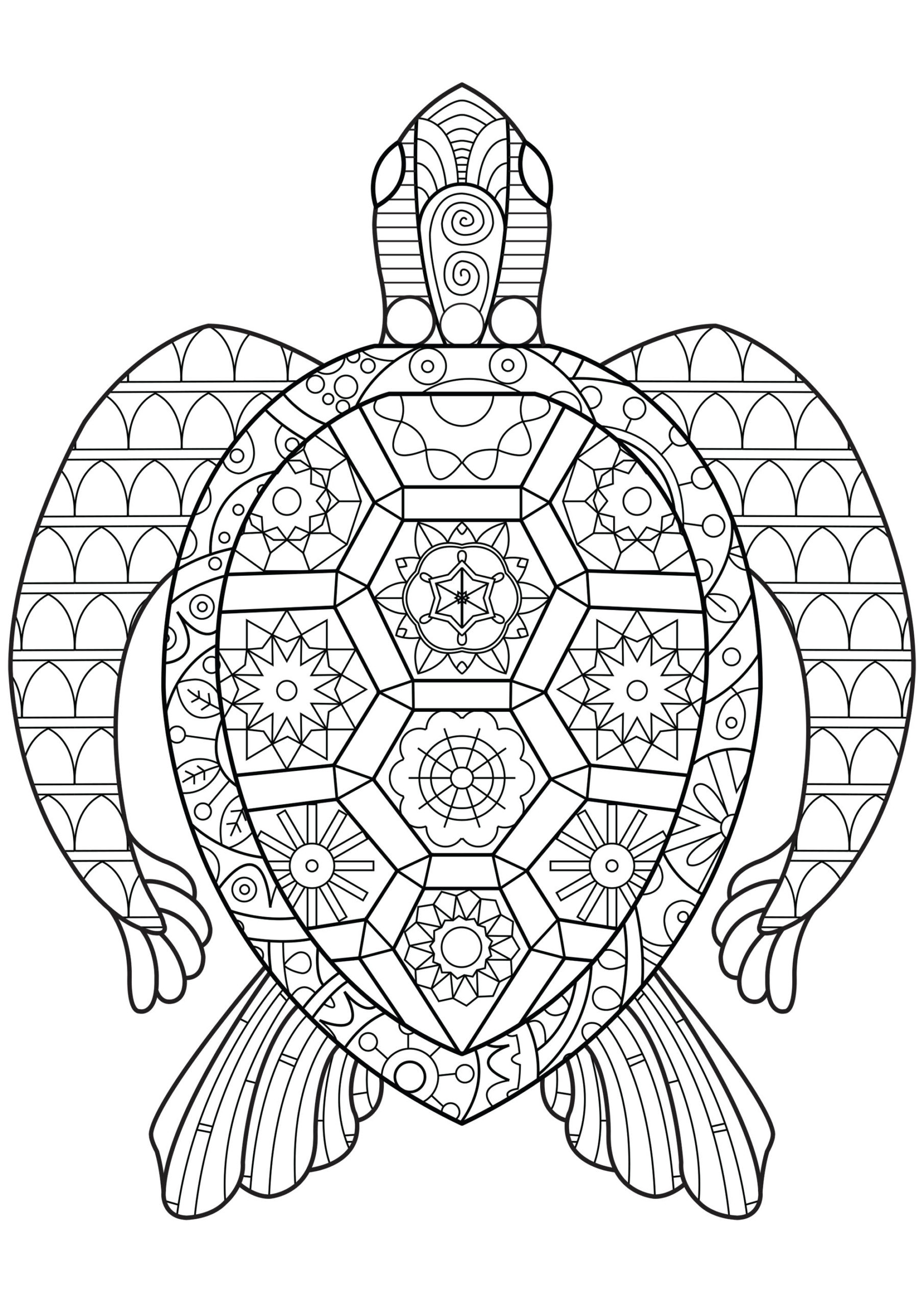 coloring-pages-coloring-pages-zen-turtle-sheets-turtles-adult