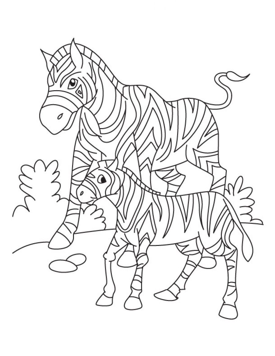 Coloring Pages | Zebra Coloring Sheet