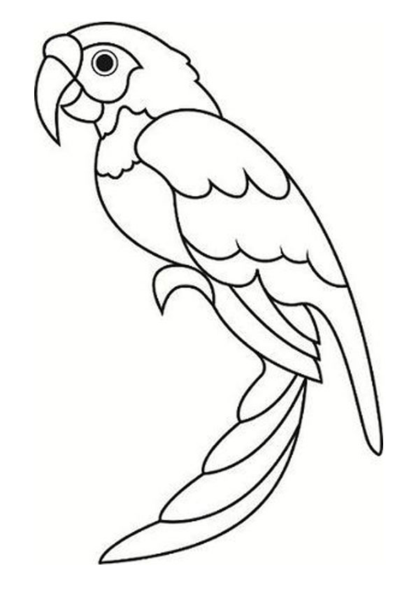 parrot-coloring-page