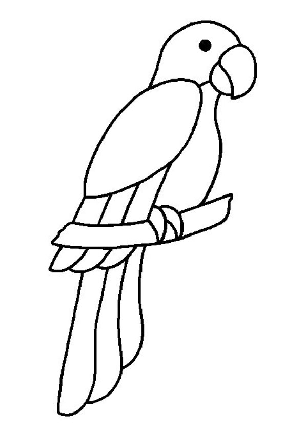 Red and green winged macaw parrot cartoon drawing