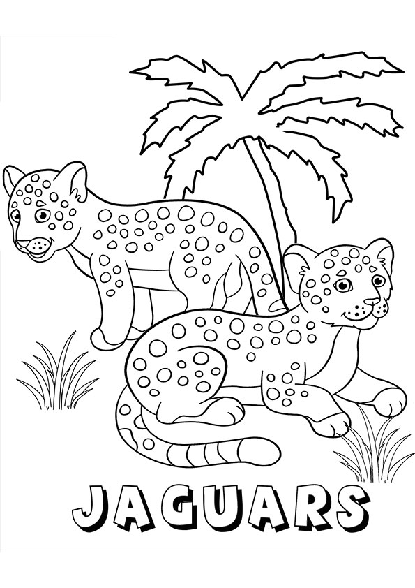 coloring pages jaguar