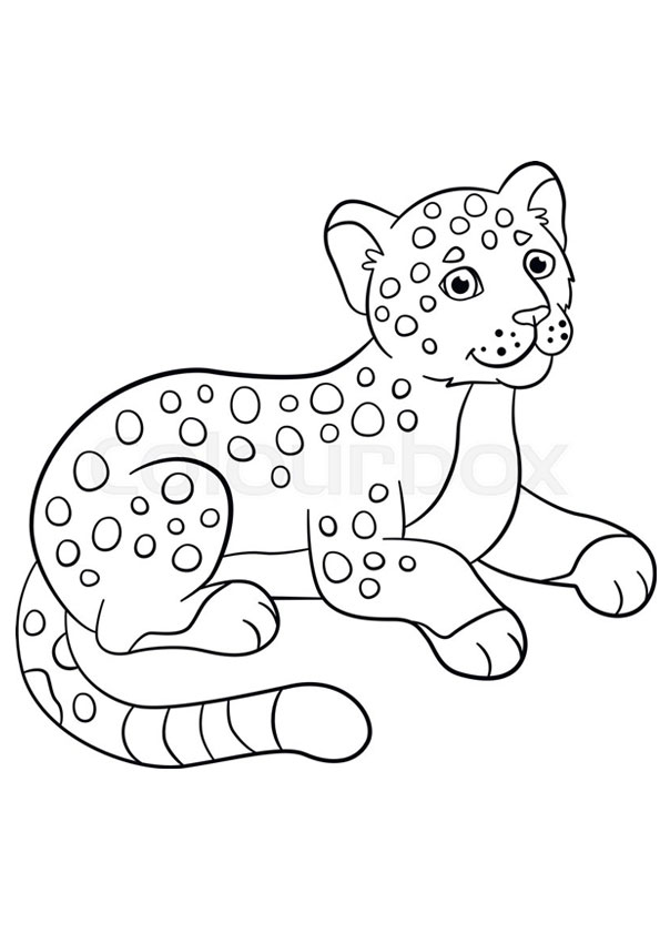 coloring pages jaguar