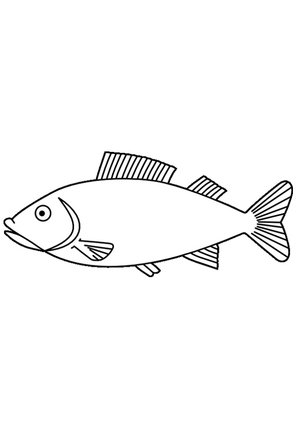 Coloring Pages Free Printable Fish Coloring Sheet