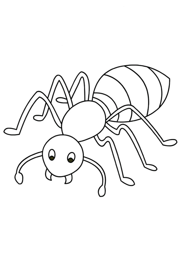 ant coloring page