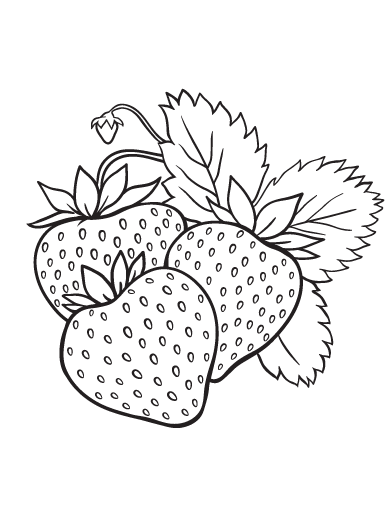Coloring Pages | Bunch Of Strawberries Coloring Pages