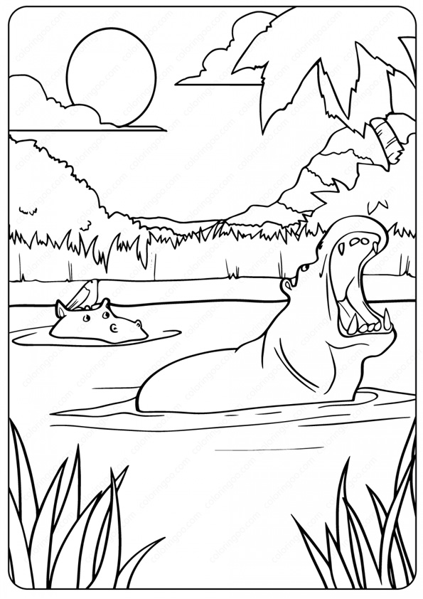 Printable Hippo Coloring Pages coloring page