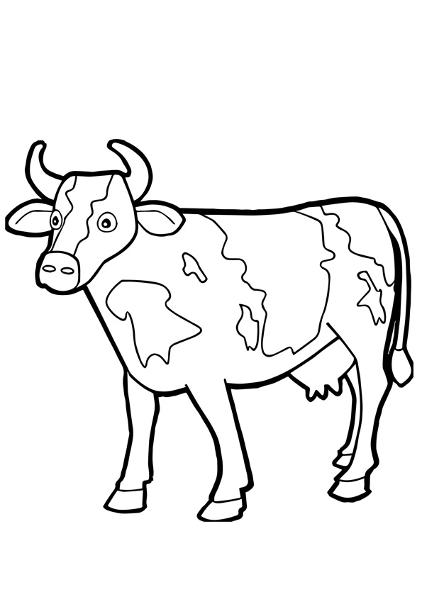 coloring pages of cows free printable