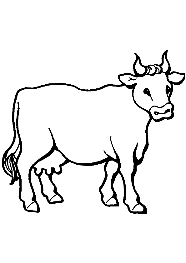 Coloring Pages | Printable Cow Coloring Pages