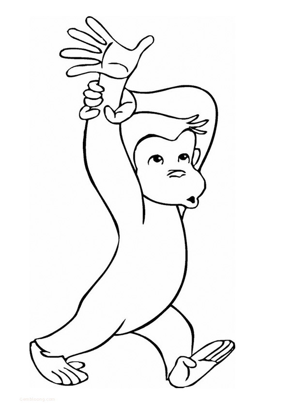 Coloring Pages | Chimpanzee Photo Coloring Pages