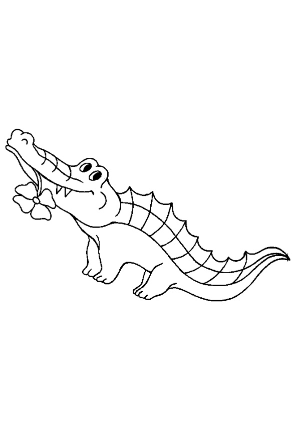 Coloring Pages Free Printable Alligator Coloring Pages