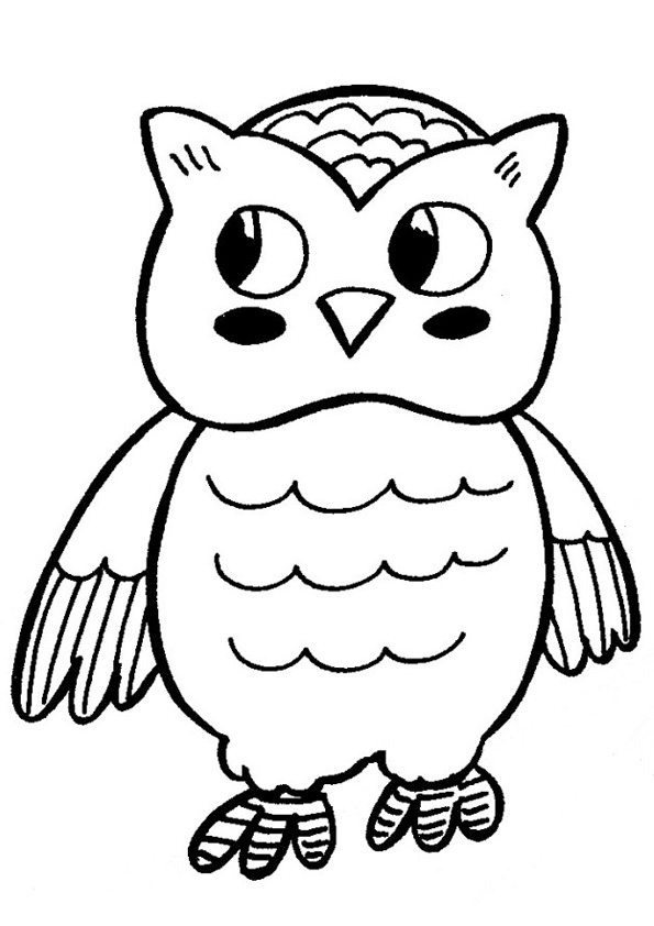 Coloring Pages Free Printable Owl Coloring Pages For Kids Coloring Pages Free Printable Owl Coloring Pages For Kids
