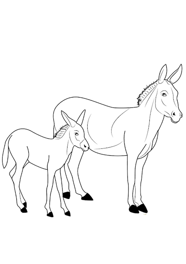 Baby Donkey with Mother Coloring Pages coloring page