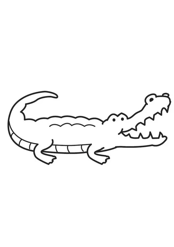 Baby Crocodile Coloring Pages coloring page