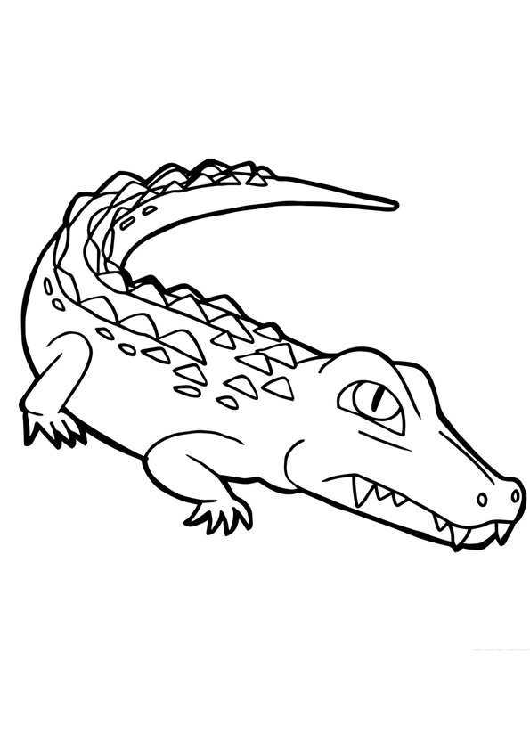 Coloring Pages Printable Crocodile Coloring Sheet For Kids