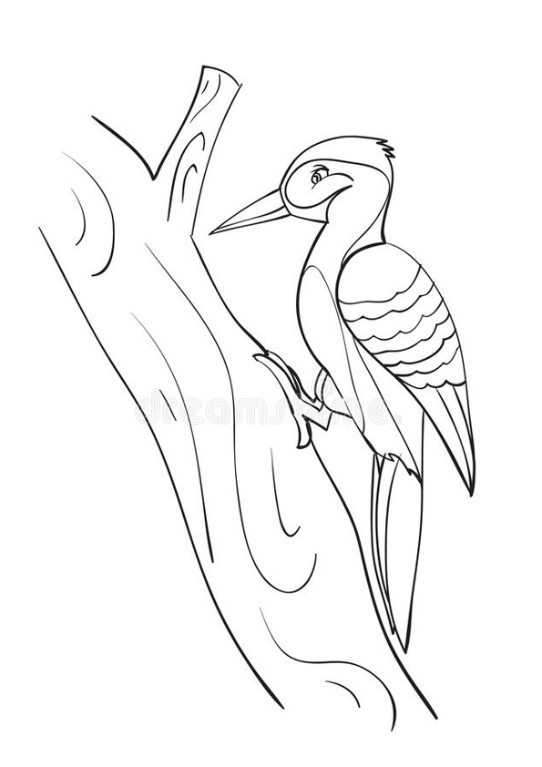 Coloring Pages Free Printable Woody Woodpecker Coloring Pages