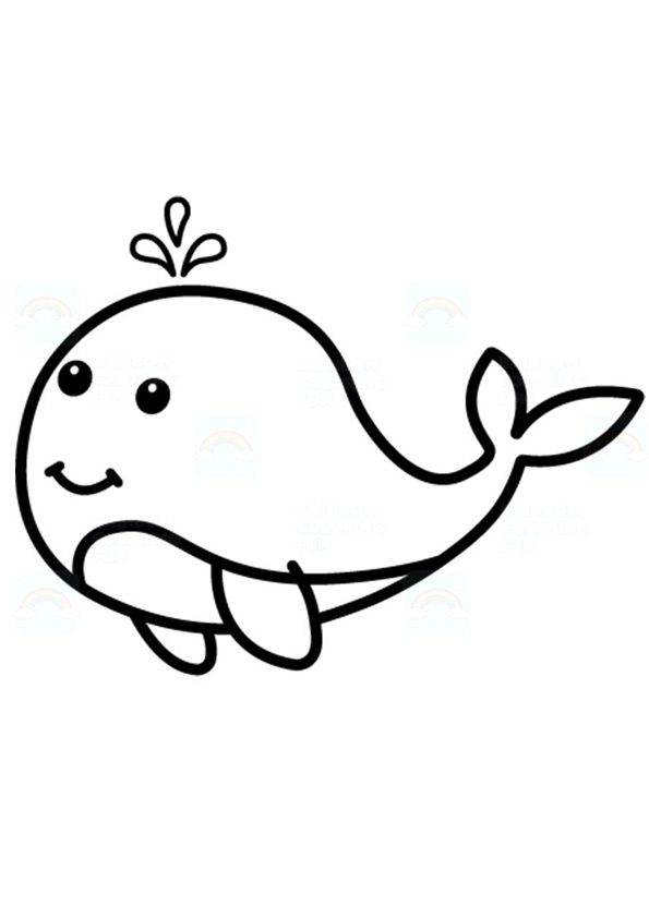 Coloring Pages | Cute Whale Coloring Pages For Kids