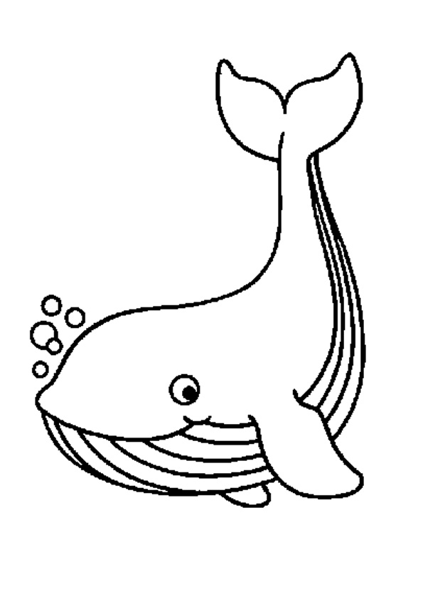 Coloring Pages | Whale Coloring Pages for Kids