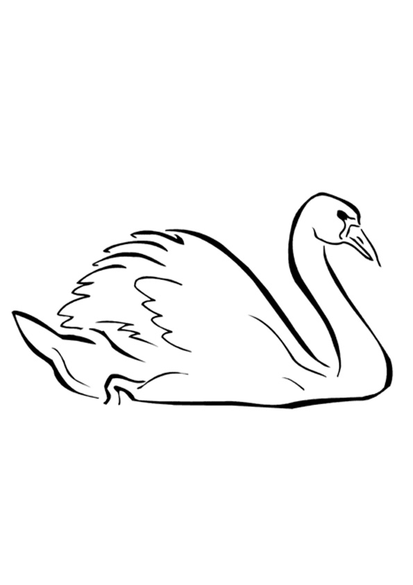 Coloring Pages | Free Printable Swan Coloring Pages