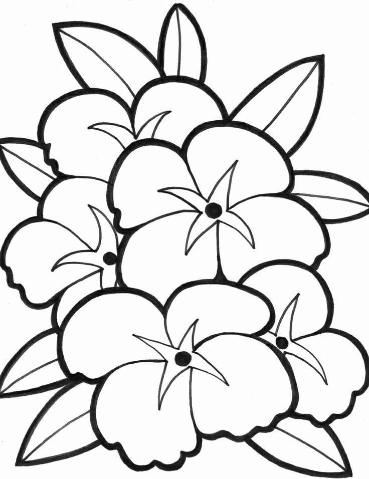 Coloring Pages | Spring Flowers Coloring Page Elegant Easy Flower