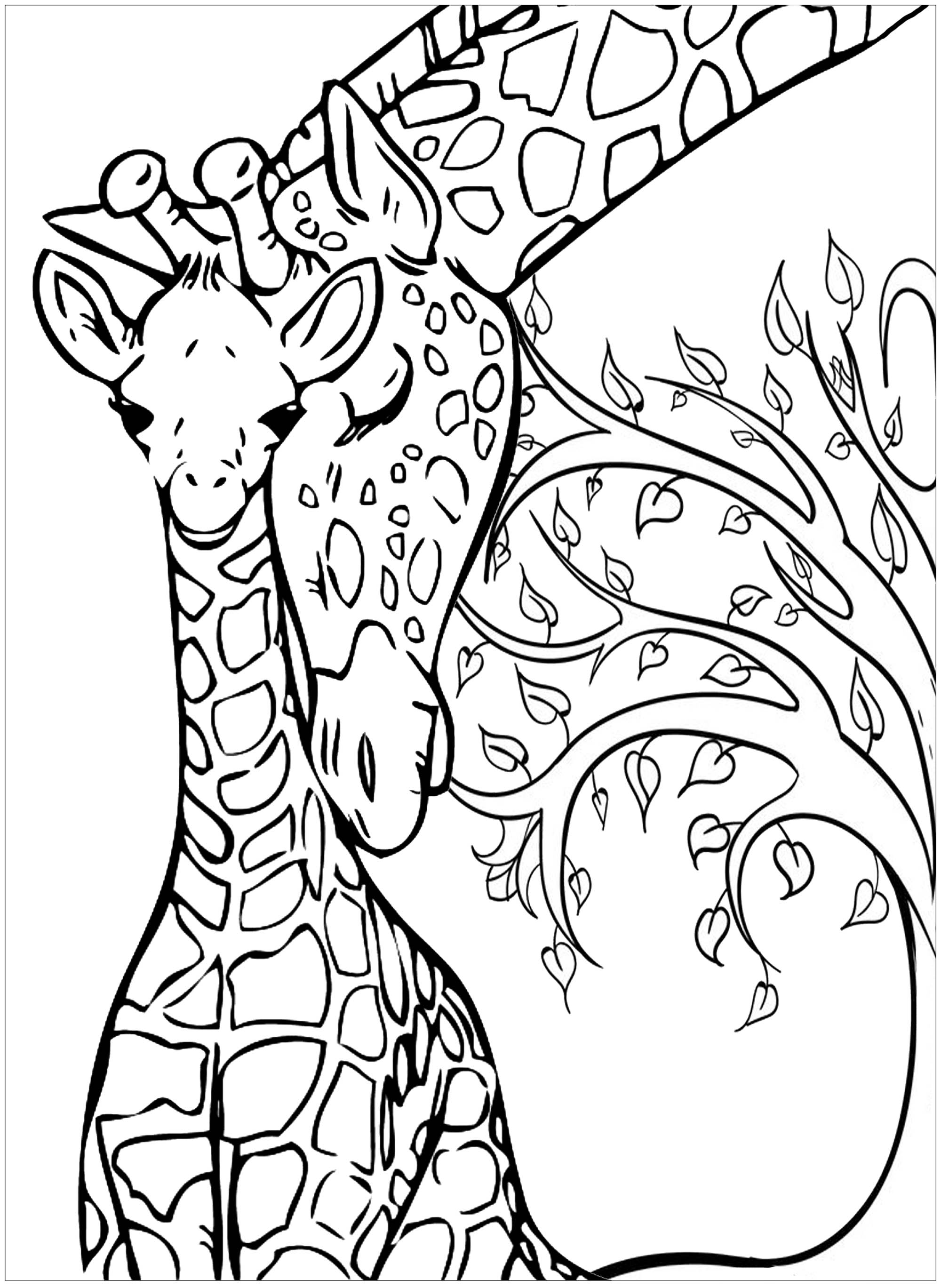 giraffe-pictures-to-color