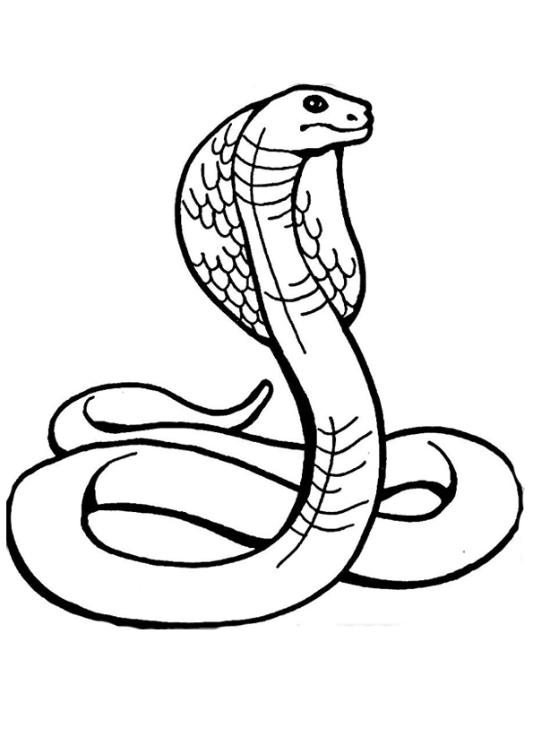 King Cobra Coloring Page, Free King Cobra Online Coloring