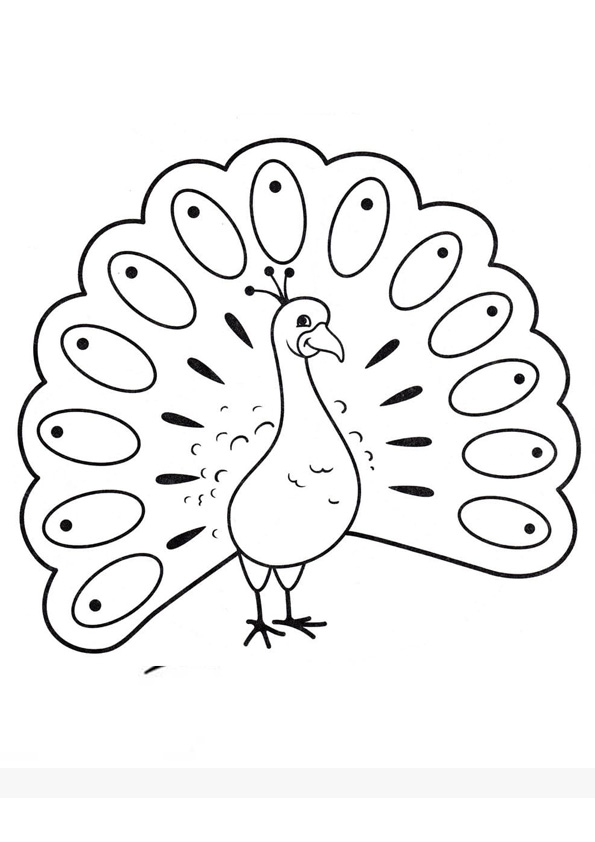 coloring-pages-peacock-coloring-images-for-kids
