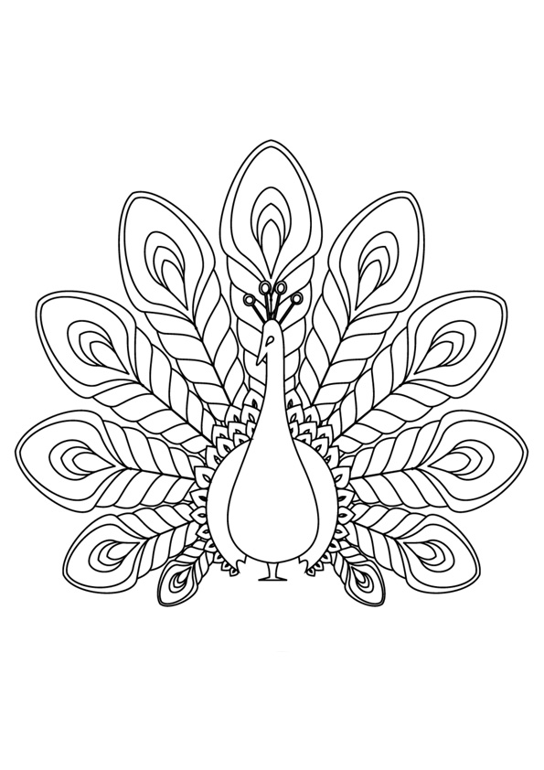 peacock coloring pages free