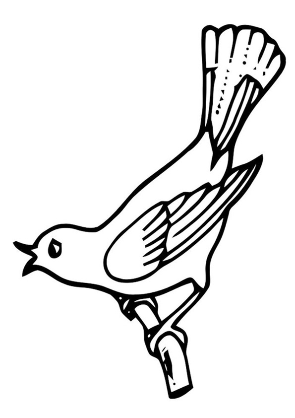 Coloring Pages Printable Cuckoo Coloring Sheet For Kids