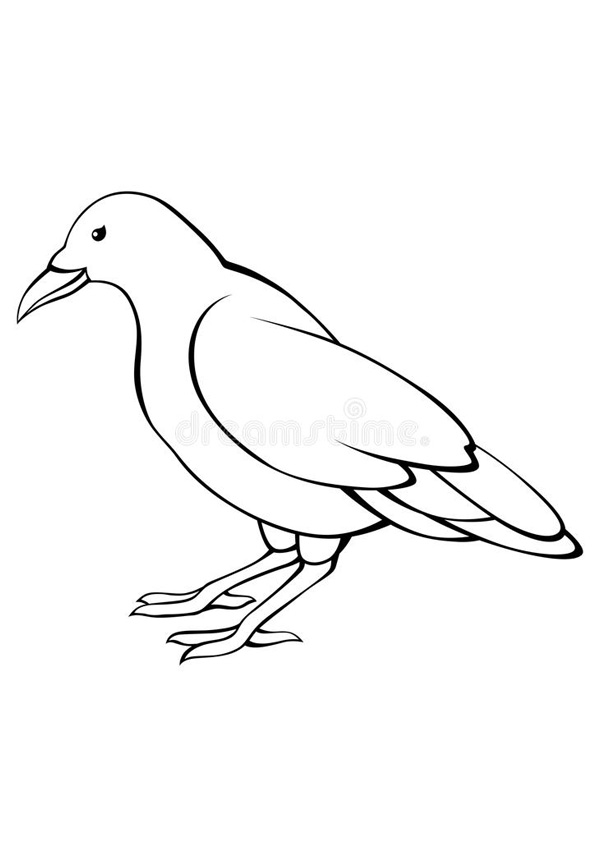 coloring-pages-crow-free-printable-coloring-pages-animals