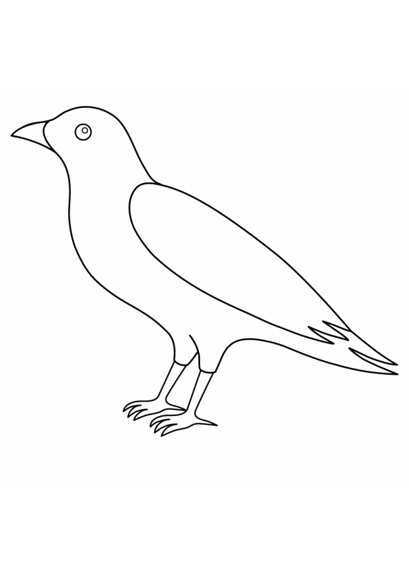 coloring-pages-printable-crow-coloring-page-for-kids