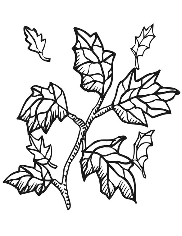 tree trunk coloring page