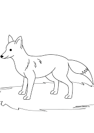 Fox coloring coloring pages coloring page