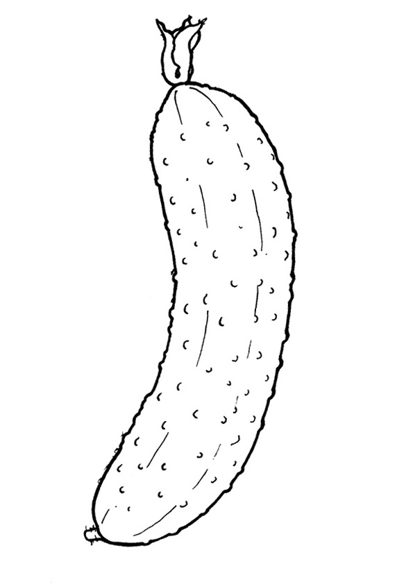 Easy Cucumber Coloring Pages for Kids coloring page