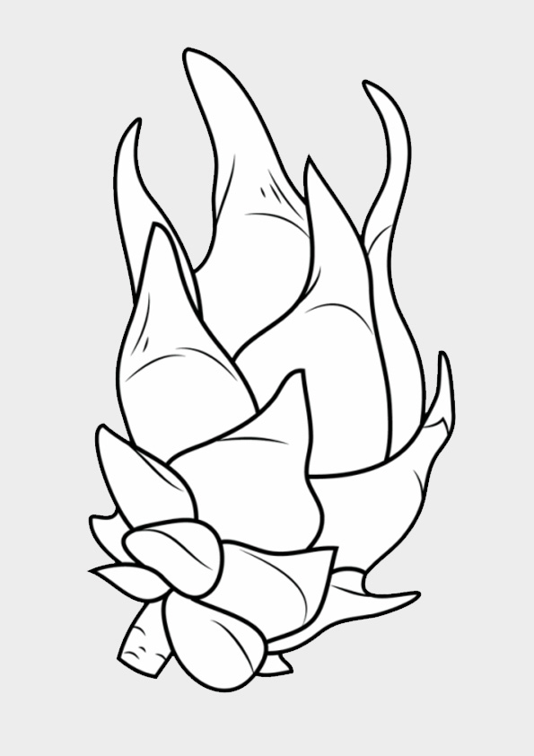 Dragon fruit coloring pages